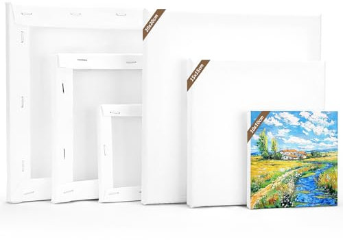 LUOJINYI Lot de 6 toiles à peindre (20 x 20,15 x 15,10 x 10 cm, 2 pièces chacune) sur châssis en coton pour peinture acrylique, peinture à l'huile, débutants artistes