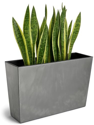 FEINZ Vaso Da Fiori Alto E Stretto Con Inserto 19x56 cm, Grigio | Irrigazione, Per Balcone/Terrazza/Giardino, Resistente Intemperie, Facile Da Pulire, Moderno