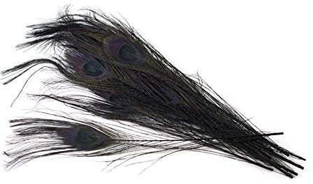 10 echte Pfauenfedern ca. 25-30cm (schwarz 030) // Pfau Federn Natur Auge Deko Pfauenaugen Schmuck