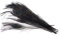 10 echte Pfauenfedern ca. 25-30cm (schwarz 030) // Pfau Federn Natur Auge Deko Pfauenaugen Schmuck