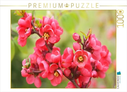 CALVENDO Puzzle Blühende Japanische Zierquitte | 1000 Teile Lege-Größe 64 x 48 cm Foto-Puzzle für glückliche Stunden