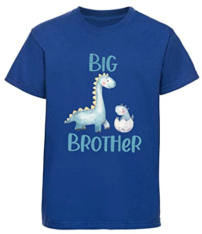 Dovitee Big Brother Dinosaur t-Shirt for Boys with Cute Big and Little Dinosaur