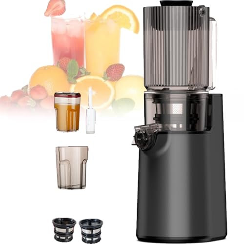 Spdazzleburst Cold Press Masticating Juicer, 250w cold Press Slow Juicer, Juicer Machines, with 11cm Feeding Chute, Portable Pomace Separation Juicer, for Fruits Vegetables,Grey