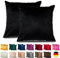 Emilie-Textil 2er Set SAMT Kissenbezug, Decorative Kissenhülle, Sofakissenbezug mit Verstecktem Reißverschluss, 14, Größen 40X40 / 45X45 / 50X50cm (2, Schwarz, 40X40)