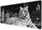 900 x 400 XXL Tiger Animal Desk Mat