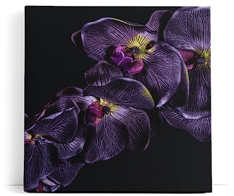 Paul Sinus Wandbild 80x80cm Dunkele Orchidee Blume Blüte Schwarz Fotokunst