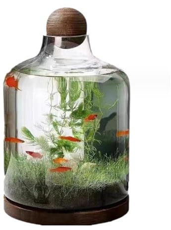 Micro Paysage Eco Bouteille en Verre Aquarium Réservoir à Poissons, Bouteille Hydroponique pour Plantes d'Eau, Bouteille Hydroponique pour Semences de Plantes d'Eau, Décoration d'Art Domestique,B