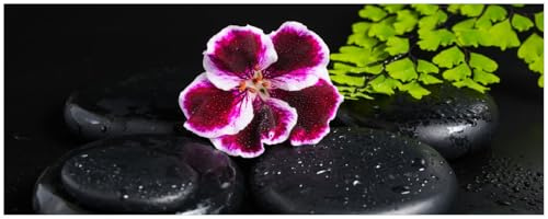 Wallario Küchenrückwand selbstklebend 115 x 50 cm, Motiv: Geranienblüte auf schwarzen Steinen, benetzt mit Wassertropfen | Spritzschutz abwischbar & pflegeleicht