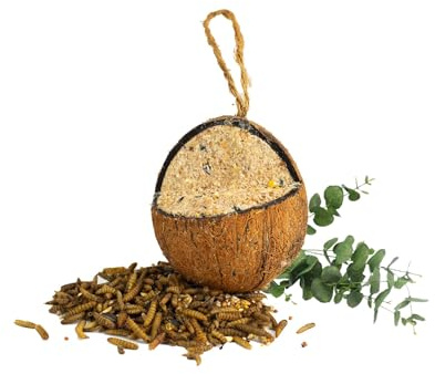 Chubby Quarter Cut Filled Coconut, Coconuts Halve Wild Bird Feed with Insect oil, Coconut Shell Suet Birds Food, Protein Rich Suet for Blackbirds, Woodpeckers, Starlings & Sparrows