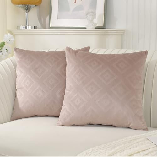 Ystyle Federe Cuscini Divano 40 X 40 Copri Cuscini per Divano Arredo Copricuscini Camera da Letto Federe Casa Moderni Elegante Morbido in Velluto con Cerniera Invisibile 2 Pezzi, Rosa Grigio