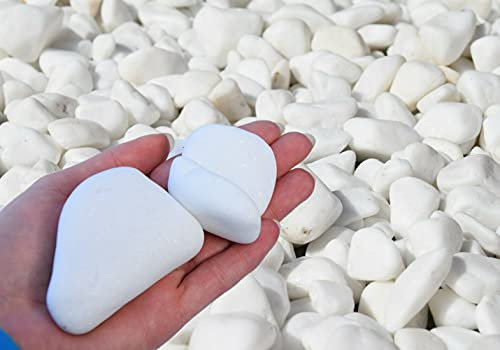 Thassos TRANS-PAL Decorative Stones Natural Marble Extra White PEBBLES 20 Kilo Bag 60-100mm Landscape Garden Home