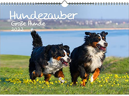 Hundezauber Große Hunde DIN A3 Kalender für 2022 Welpen und Hunde - Seelenzauber