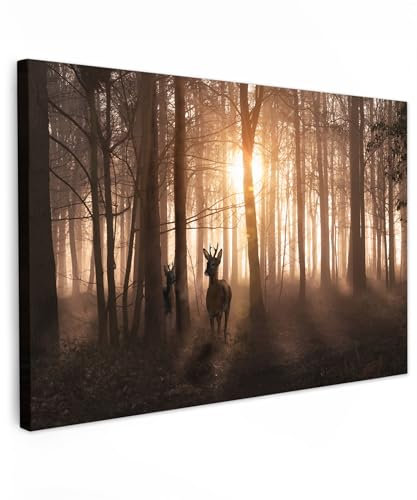 MuchoWow© Leinwand Bilder Groß 120x80 cm XXL Wanddeko Wohnzimmer Aesthetic Room Decor Deko Zimmer Wandbilder Modern Fotogeschenke Hirsch Bild - Rotwild - Reh - Sonne - Bäume - Winter - Natur - Tiere