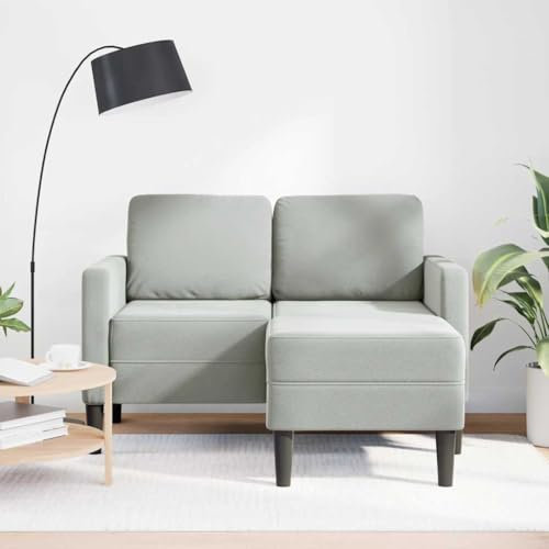 Generisch Kangmusi 2-Sitzer-Sofa mit Chaiselongue L-Form Hellgrau 125 cm Samt, Grau 4107069