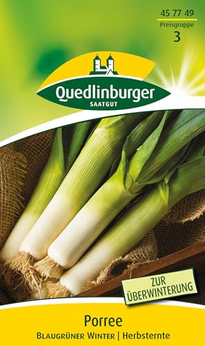 Quedlinburger Saatgut - Porree Blaugrüner Winter Samen