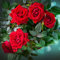 Rosen Pflanzen Samen Kletterrosen Winterhart Duftend Rosen Deko Blumen Herbst Bodendeckerrose Stauden Winterhart Mehrjährig Blumensamen Geschenk Kletterrosen Strauchrosen 200 Rosen Saatgut