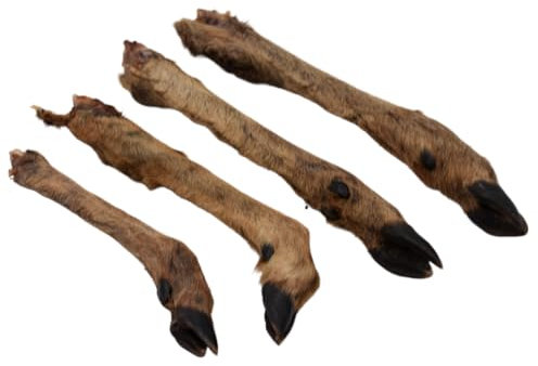 Express Pet Supplies Roe Deer Legs With Fur Small | 100% Natural Air-Dried Dog Treat | Small breeds Grain Free (25)