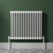 Contemporary Radiance White Stainless Steel Horizontal 2 Column Radiator - 600 x 830mm