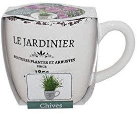 Kit Coltivazione per l'Erba Cipollina con vaso in ceramica, terriccio e semi
