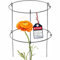 KADAX Gartenstütze aus Stahl pulverbeschichtet, Pflanzehalter, Blumenstütze, Pflanzestütze, Rankhilfe für Pflanzen, Garten, Balkon, Staudenhalter (Höhe: 60,5 cm)