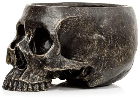 EliteKoopers 1Pcs Skull Garden Planter Resin Skull Bowl for Home Office