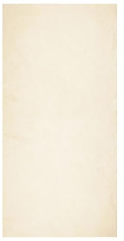 vidaXL Teppich, Wohnzimmerteppich Kurzflor Weich Waschbar, Moderner Teppich für Wohnzimmer Schlafzimmer, Flauschig Einfarbig rutschfest, Creme 100x200cm