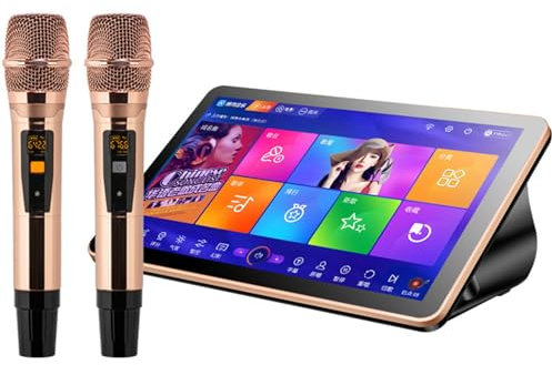 Reproductor De Karaoke Con Pantalla TáCtil De 18,5 Pulgadas, Todo En Uno, De Escritorio, Con Efectos Integrados Y 2 MicróFonos InaláMbricos Para Fiestas En Bares Y Familias,Black-4TB