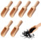6PCS Wooden Scoops for Children,Mini Wooden Scoop Natural Wooden Scoop,Mini Wooden Salt Spoons,Salt Scoops for Kitchen,Powder,Bath Salts,Tea Spice Small Scoop