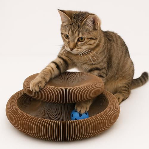 katzenspielzeug - kratzspielzeug Kava rund braun 11,5x10,5x8 cm - karton recycelbar - faltbar - 3 Formen mit Magnet - glöckchenball - kratzbrett