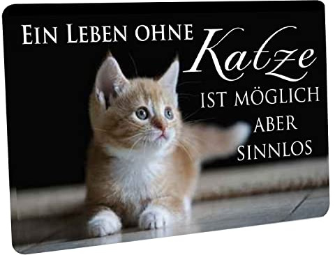 Crealuxe Fussmatte - EIN Leben ohne Katze ist möglich Aber sinnlos - 60x40 cm - Gummi Rückseite/rutschfest - Filzoberfläche - Bedruckte Türmatte - Innenmatte - Schmutzmatte