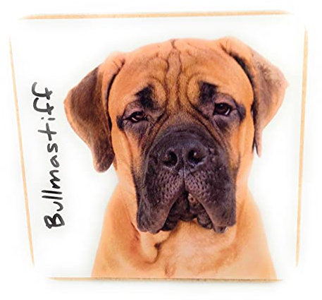 Bullmastiff Hund Haustier Untersetzer für Getränke Kaffee Tee 9,5 x 9,5 cm Geburtstag Geschenk Weihnachten Nikolausstiefel Hund Papa Mama Geschenk Hund Liebhaber