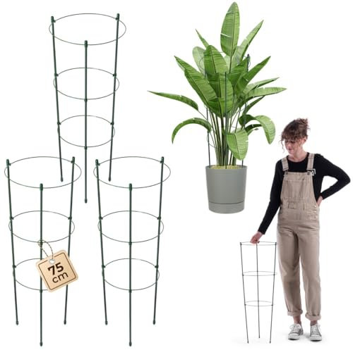 KADAX Rankhilfe für Pflanzen, 75cm, 3er Set, Pflanzenstütze aus Stahl, Blumenstütze, Pflanzenhalter, Rankgitter für Kletterpflanzen im Garten oder Blumentopf, Rankturm für Tomaten