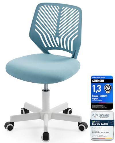 Ergoreal 25W01 Ergonomischer Bürostuhl ohne Armlehne, Bürostuhl mit Rollen & Höhenverstellung, Bürostuhl Cozy mit Ergonomischer Rückenlehne,Homeoffice/Arbeitszimmer/Studienzimmer (Hellblau)