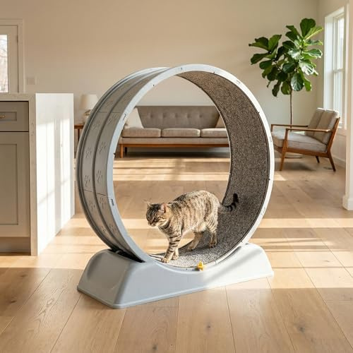 Katzenlaufrad aus Holz, 79 cm Laufrad Katze mit Abnehmbarem Teppich, 84x79x34cm,Laufrad für Katzen,Ihren eigenen pelzigen Freund