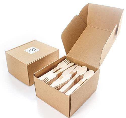DIN'SONS 300 pcs Disposable Wooden Cutlery Set | Eco Friendly Biodegradable Compostable | Used for Party Wedding Picnic | Wooden Spoon 100, Forks 100, Knives 100