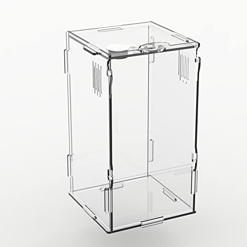 BETAZOOER Mini-Terrarien für Reptilien, Acryl, transparent, mit Verriegelung, geeignet für Tarantel, Spinne, Isopod, Eidechsen, Rotkaugen, Wirbellose (10,2 x 10,2 x 20,3 cm)