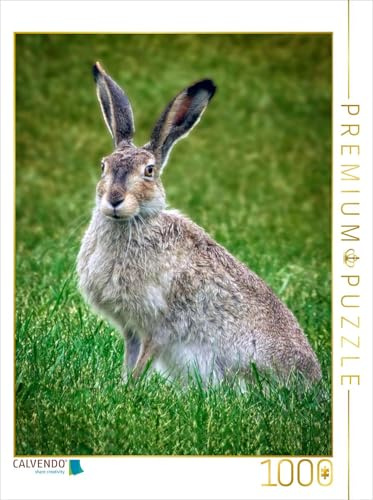 CALVENDO Puzzle Niedliche Hasen | 1000 Teile Lege-Größe 48 x 64 cm Foto-Puzzle für glückliche Stunden
