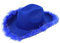 DELIMALI Cowgirl-Hut Cowboyhüte für Damen, flauschige Federkrempe, Cowboyhut für Junggesellinnenabschied, Cosplay, Verkleidungsparty (A-Blau, Einheitsgröße)