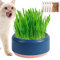 Katzengras-Pflanzgefäß – Hydrokultur-Katzengras-Pflanzgefäß Für Zimmerkatzen, Katzengras-Anzuchtset, Katzengras-Pflanzgefäß, Hydrokulturtopf, Ohne Zugabe Von Erde, Großer Wasserspeicher, Katzengras