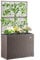 BAKAJI Fioriera da esterno con spalliera in polyrattan, 3 Vasi Removibili Contenitori per Piante, Traliccio da Esterno con grigliato ideale x Giardino, Balcone, Terrazzo, Pianta Rampicante (Marrone)