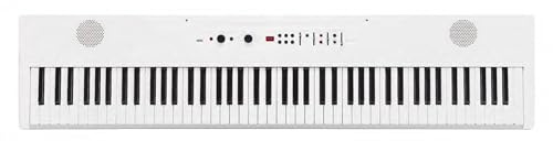 KORG L1LIVE