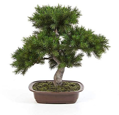 artplants.de Kunst Bonsai Pinie Selena in Dekoschale, dunkelgrün, 48cm - Künstlicher Bonsai - Deko Bonsai Busch