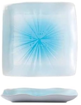 birene Assiettes en Verre Assiette à Steak en céramique carrée Simple, Assiette à légumes créative for la Maison, Vaisselle d'hôtel et de Restaurant Assiettes en Porcelaine(Blue,9 inch)