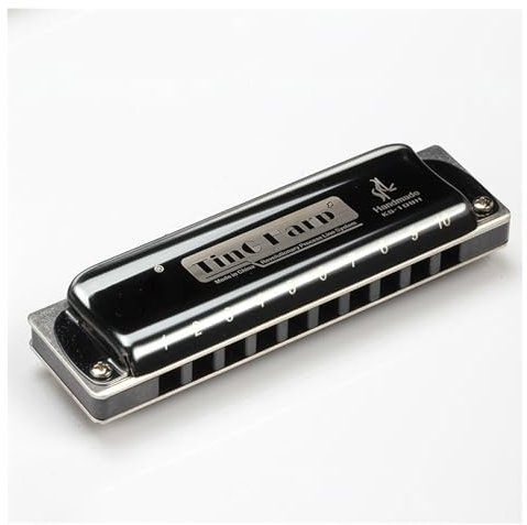 Erwachsene Mundharmonika 10-Loch-Blues-Mundharmonika Blues-Instrument Spielpraxis Anfänger Mundharmonika lernen(Black)
