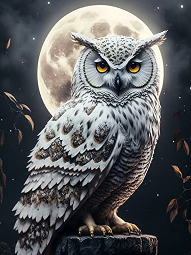 Trayosin Diamond Painting Eule, 5D Diamond Painting Kits für Erwachsene Kinder, DIY Diamant Painting Eule Bilder Stickerei Malerei Kits für Home Wall Decor (Mondschein Eule,40x50cm)