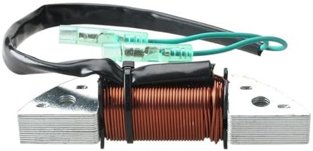 WYNAnGAI Lichtmaschine Compatible with Außenbordmotoren 3B2-06123 Kompatibel mit 2-Takt 8HP 9.8HP HDX-Modellen 3B2-06123-1 3B2061231 M8/9.8B