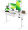 Agilestic Elektrischer Stehschreibtisch mit Schublade, höhenverstellbarer Schreibtisch, Ergonomischer Stehschreibtisch 120 * 60 aus Holz, mit Memory-Voreinstellungen für Arbeit Heimbüro, Weiß