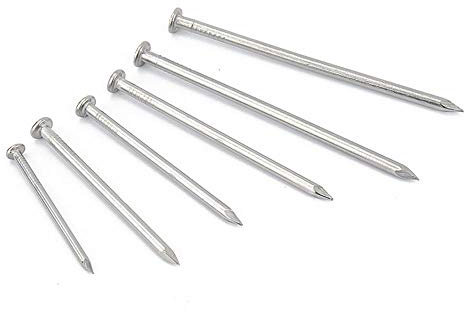 Clout Nails,Assorted Nails for Wood, 20PCS 304 Stainless Steel Nails, Steel Nails, Woodworking Nails, Wood Cement Staples, Long Nails(2.5 Inch 65mm)