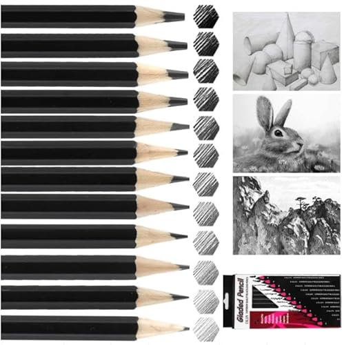 Hopton Bleistift Set 12 Stück: 2H-8B Skizzierstifte mit 12 Härtegraden, Professionelle Zeichenstifte für Künstler, Erwachsene & Anfänger - Ideal für Zeichnen, Skizzieren & Kunstprojekte