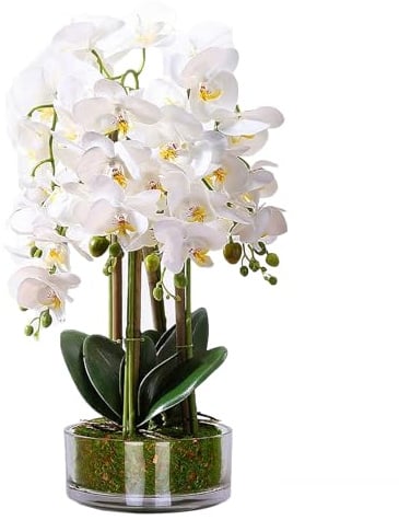 Willood Künstliche Blumen, realistische weiße Orchidee im Topf, fühlt sich echt an, hohe künstliche Phalaenopsis künstliche Pflanzen, Innenbereich, dekoratives Seidenblumenarrangement für Wohnzimmer